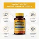 sandhuherbals-andrographis-paniculata-ka-4.jpg