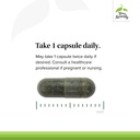 terry-naturally-andrographis-ep80-extra--4.jpg