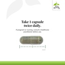 terry-naturally-europharma-andrographis--4.jpg