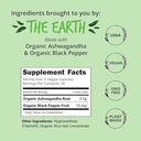 happy-healthy-hippie-lighten-up-weightlo-2.jpg