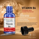 vitamin-b6-liquid-drops-pyridoxine-hcl-s-4.jpg