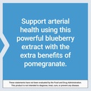 life-extension-blueberry-extract-and-pom-6.jpg