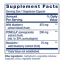 life-extension-blueberry-extract-and-pom-3.jpg