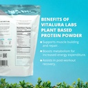 vitalura-labs-plant-based-protein-powder-6.jpg