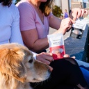 amg-snacks-strawberry-vanilla-energy-bit-5.jpg