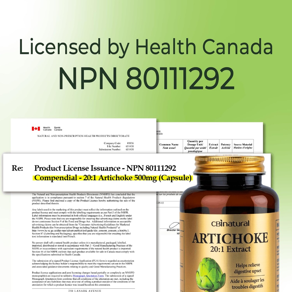 artichoke-20-1-extract-500mg-supports-li-5.jpg