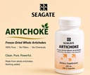 seagate-products-artichoke-400-mg-100-ca-4.jpg
