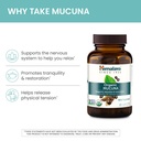 himalaya-usda-organic-mucuna-pruriens-su-4.jpg