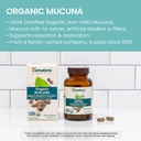 himalaya-usda-organic-mucuna-pruriens-su-3.jpg
