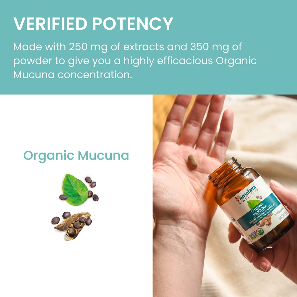 himalaya-usda-organic-mucuna-pruriens-su-6.jpg