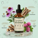 coracik-lymphatic-drainage-drops-lymphat-3.jpg