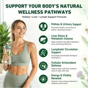 kidney-liver-cleanse-detox-repair-drops--3.jpg