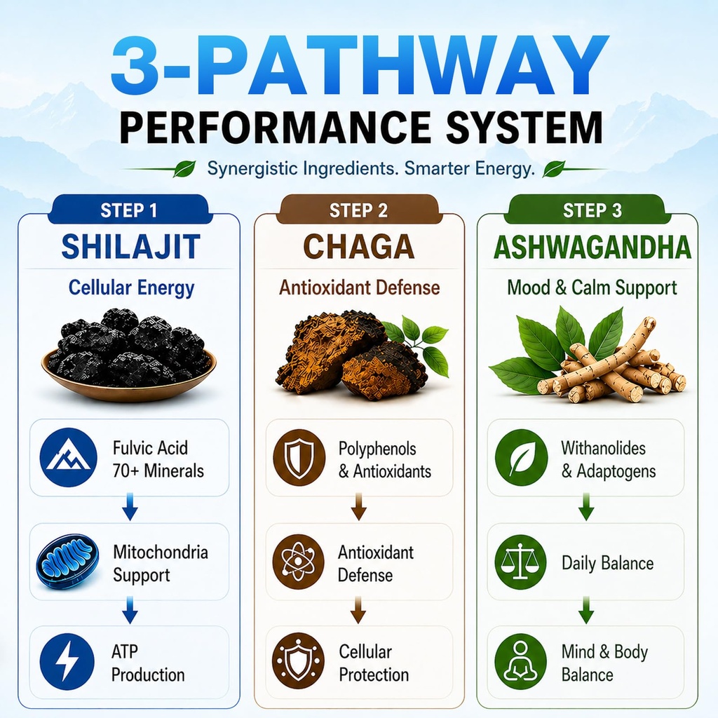 organic-shilajit-gummies-1400mg-shilajit-2.jpg