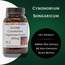cynomorium-songaricum-extract-10-1-600mg-4.jpg