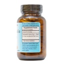barlowe-s-herbal-elixirs-xanthoparmelia--2.jpg