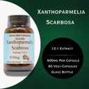 barlowe-s-herbal-elixirs-xanthoparmelia--3.jpg