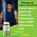 creatine-monohydrate-gummies-creatine-fo-4.jpg