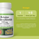 natural-factors-betaine-hcl-500-mg-suppo-3.jpg