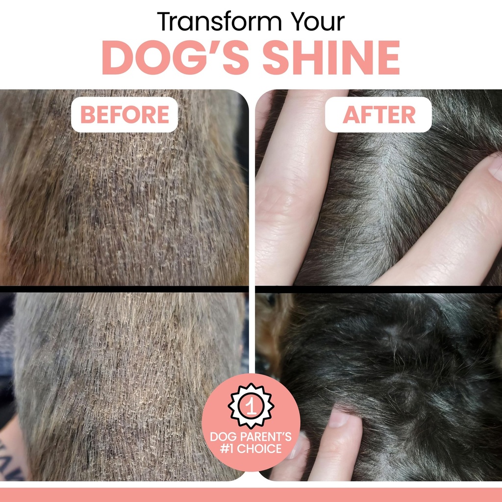 wild-alaskan-salmon-fish-oil-for-dogs-16-4.jpg