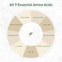 hemp-vegan-protein-powder-unflavored-veg-3.jpg