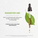 secrets-of-the-tribe-elder-berries-alcoh-3.jpg