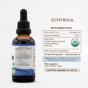 secrets-of-the-tribe-gotu-kola-usda-orga-4.jpg