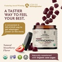 tribe-organics-ashwagandha-gummies-with--2.jpg