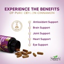 ceylon-cinnamon-capsules-certified-organ-5.jpg