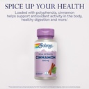 solaray-cinnamon-extract-300mg-cinnamon--3.jpg