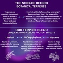 powerful-sleep-support-valerian-root-ash-4.jpg