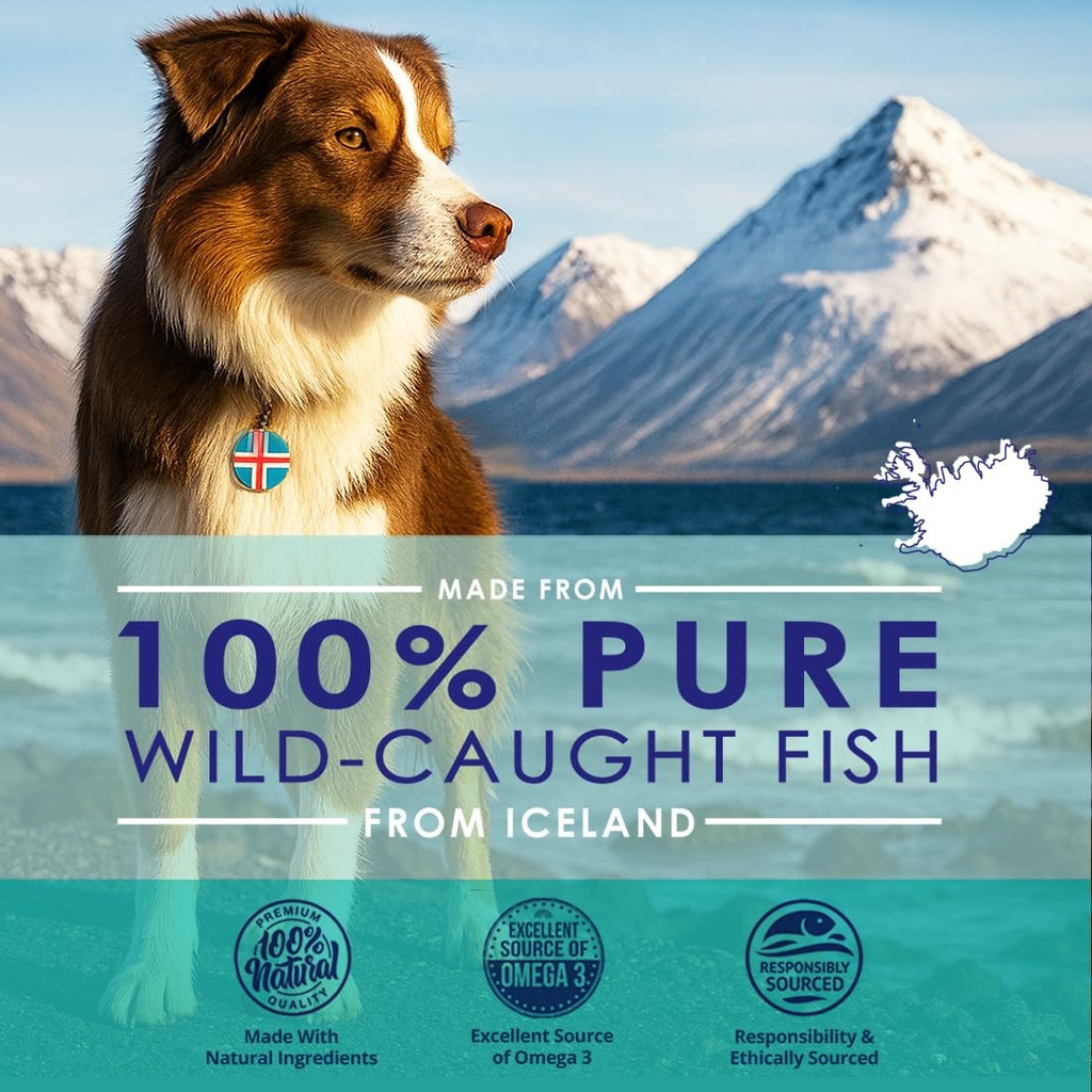 liquid-fish-oil-for-dogs-with-omega-3-6--2.jpg