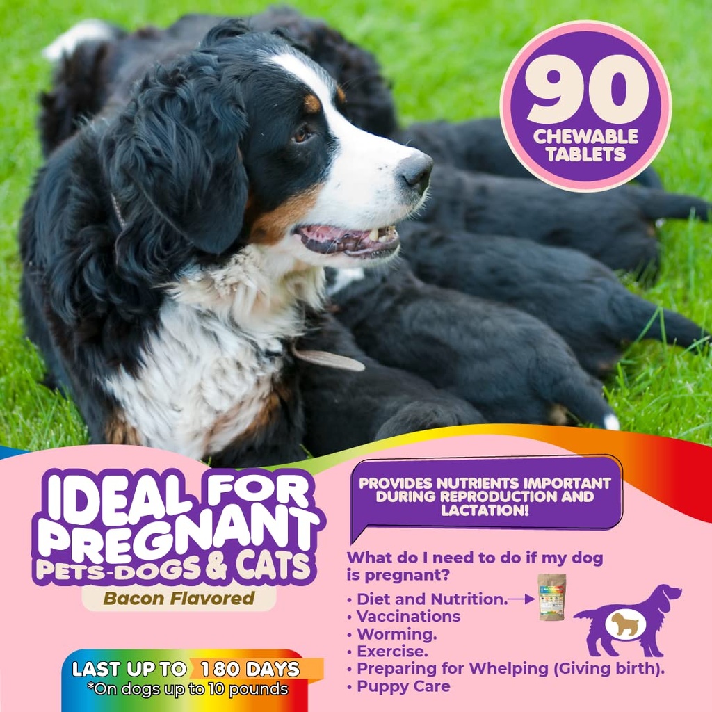 dog-prenatal-vitamins-multivitamin-folic-3.jpg
