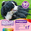 dog-prenatal-vitamins-multivitamin-folic-3.jpg