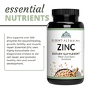 optimal-health-systems-essential-zinc-ch-5.jpg