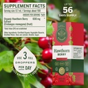herbamama-hawthorn-berry-supplement-drop-3.jpg