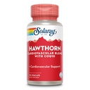solaray-hawthorn-special-formula-150mg-9-2.jpg