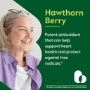 bestvite-hawthorn-berry-600mg-per-capsul-2.jpg