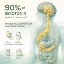 lifted-naturals-mood-boosting-probiotic--6.jpg