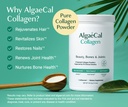 algaecal-bone-builder-collagen-bundle-cl-3.jpg