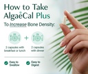 algaecal-bundle-all-natural-calcium-supp-6.jpg