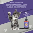 ess60-olive-oil-for-cats-organic-extra-v-3.jpg