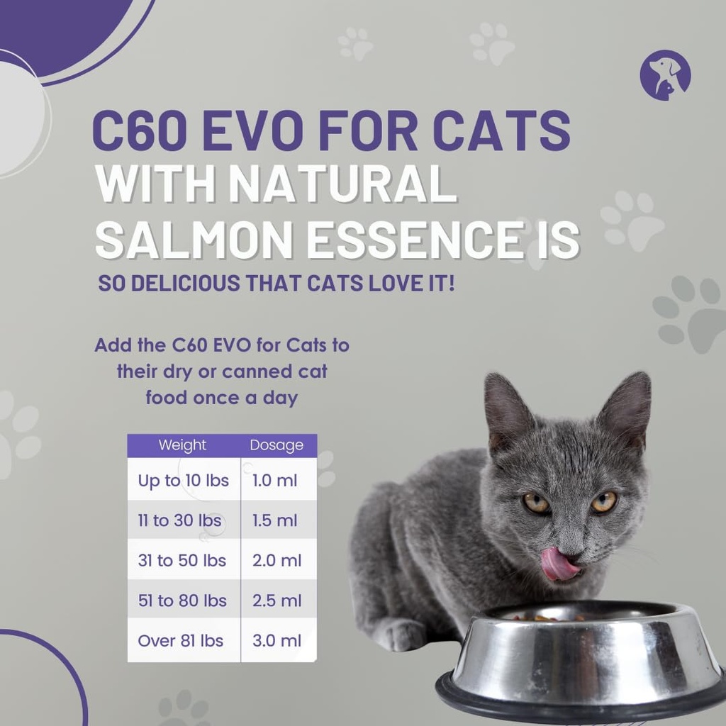 ess60-olive-oil-for-cats-organic-extra-v-6.jpg