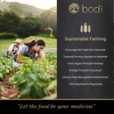bodi-bromelain-powder-2400gdu-extract-2o-5.jpg