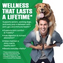 k10-amino-acids-for-dogs-all-in-one-cell-5.jpg