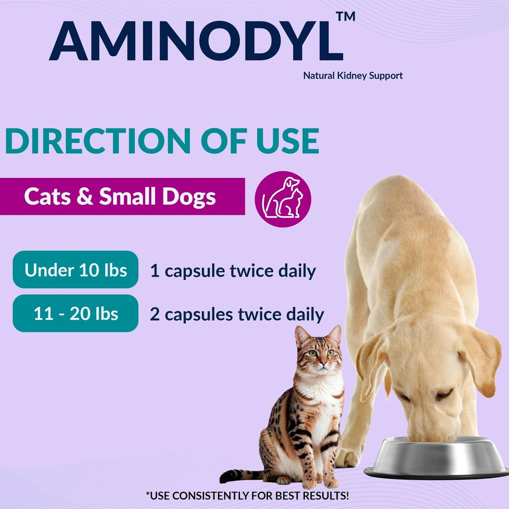 aminodyl-kidney-support-supplement-400mg-4.jpg