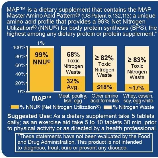 master-amino-acid-pattern-map-muscle-bui-3.jpg