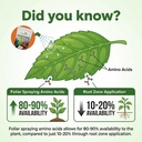 amino-power-powder-nitrogen-fertilizer-p-3.jpg