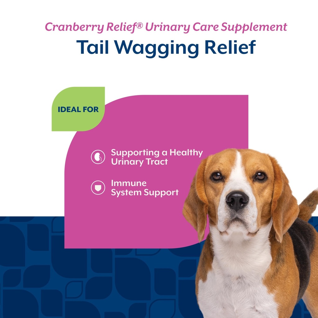 naturvet-cranberry-relief-plus-echinacea-4.jpg