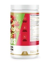 underground-bio-labs-panda-supps-aminos--5.jpg
