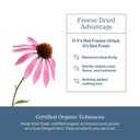 eclectic-herb-organic-echinacea-angustif-5.jpg